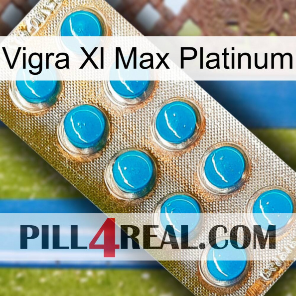 Vigra Xl Max Platinum new09.jpg